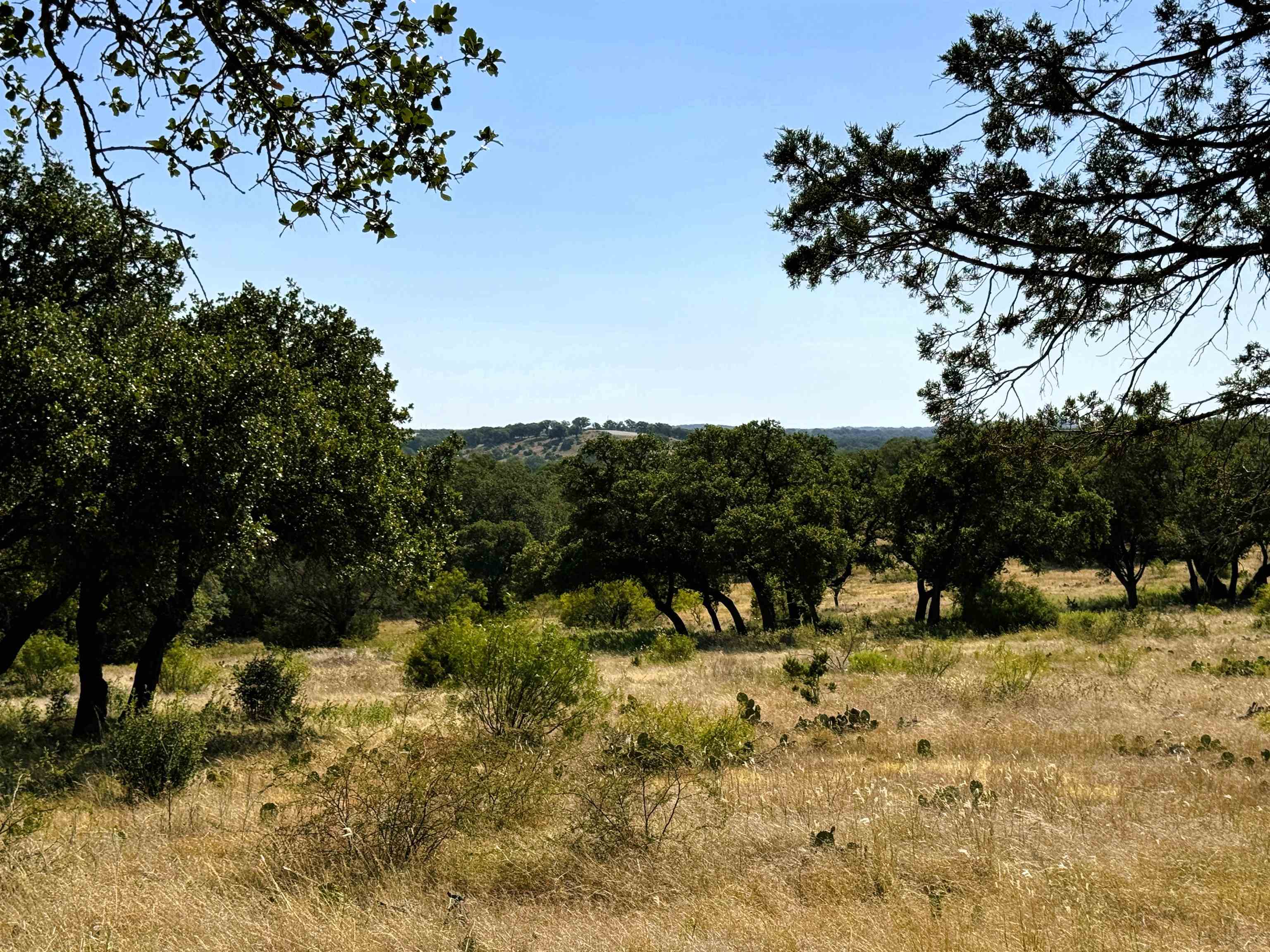 Rocky Hollow Lot 90 Property Photo 9