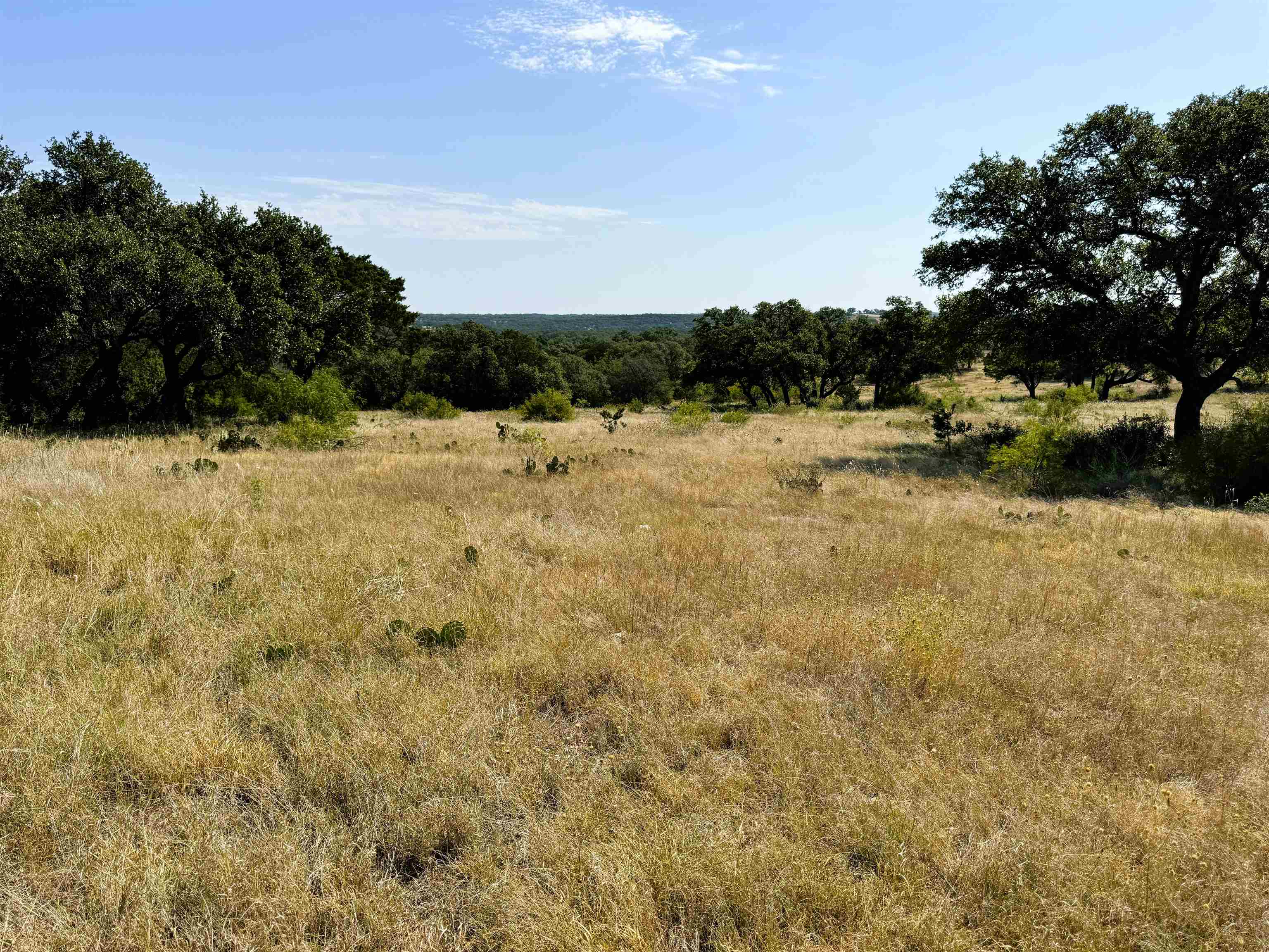 Rocky Hollow Lot 90 Property Photo 10