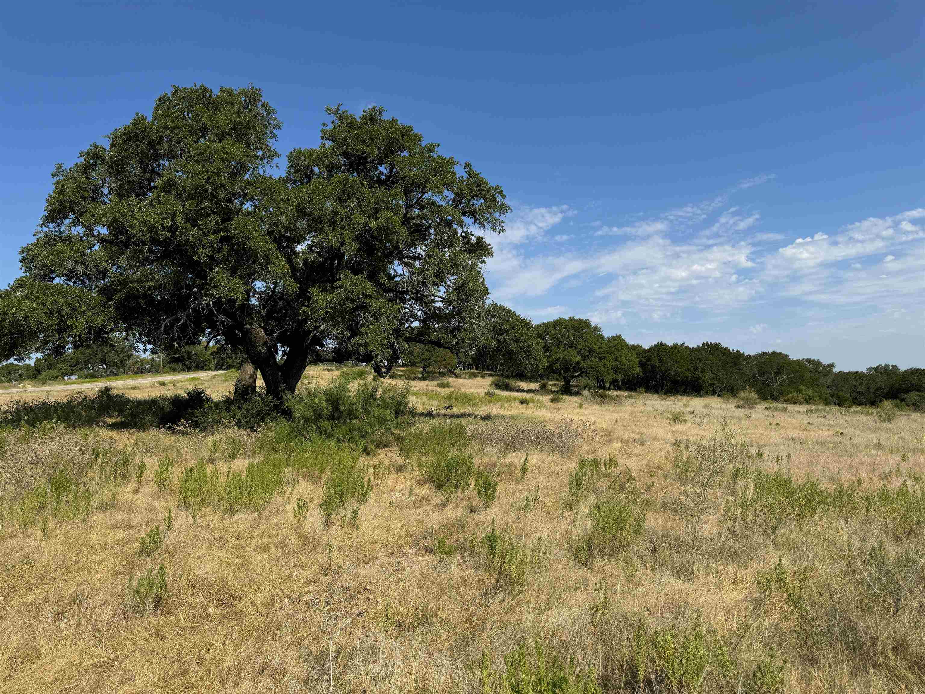 Rocky Hollow Lot 90 Property Photo 11