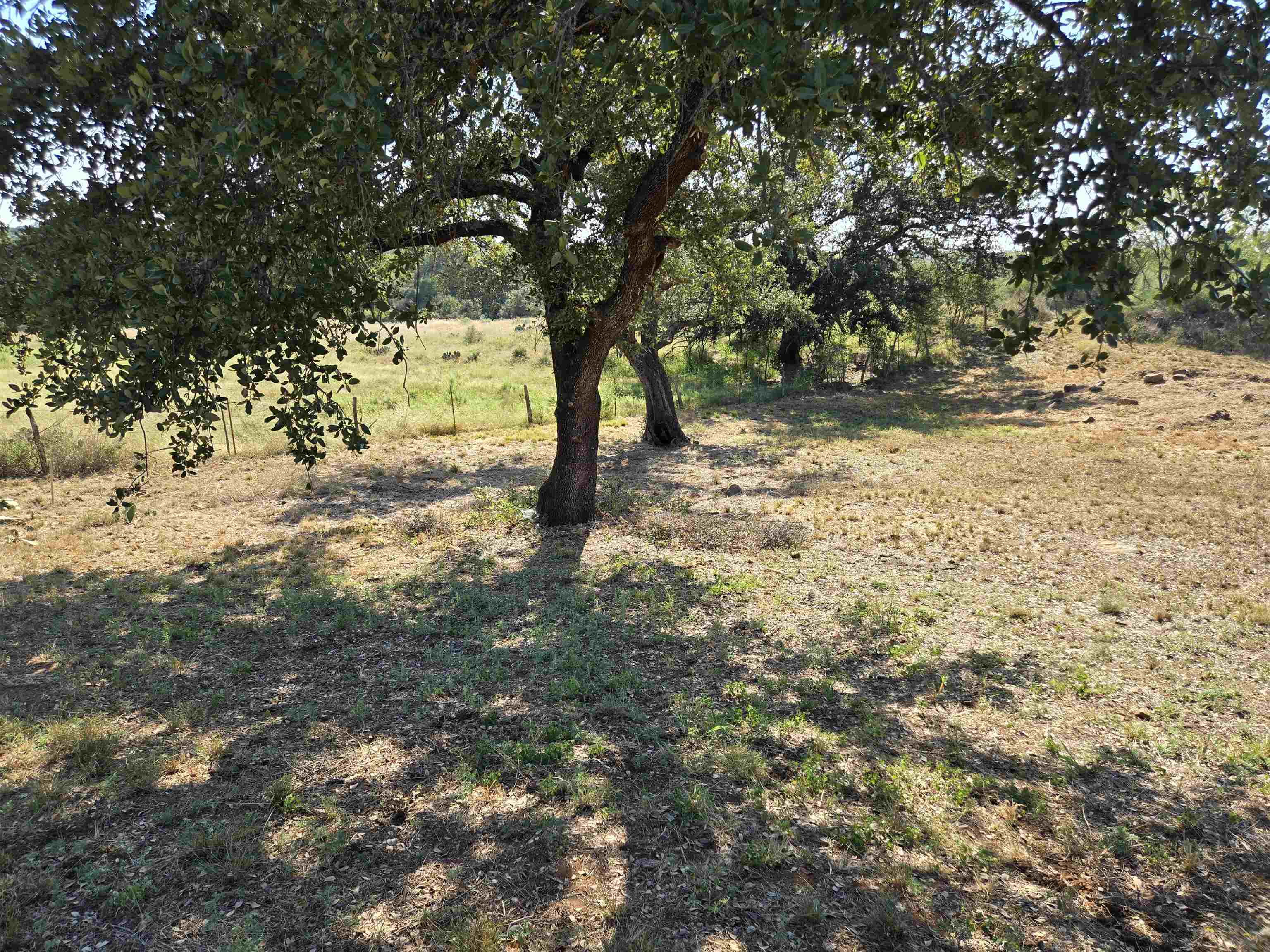 E Tarrant Street Property Photo 2