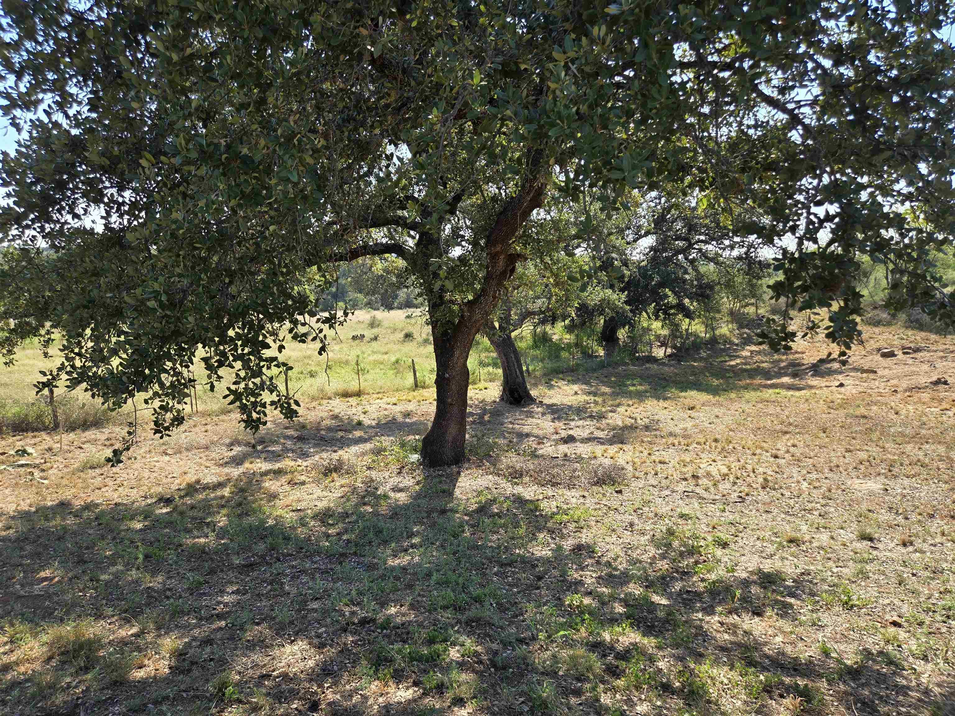 E Tarrant Street Property Photo 15