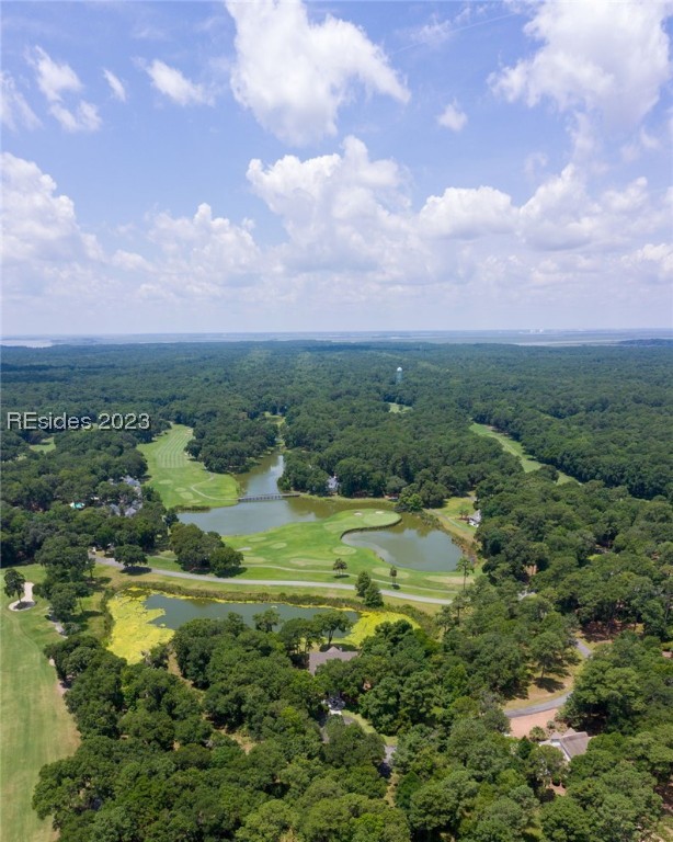 10 Lake Ridge Court Property Photo 48