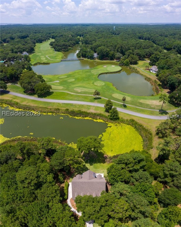10 Lake Ridge Court Property Photo 49