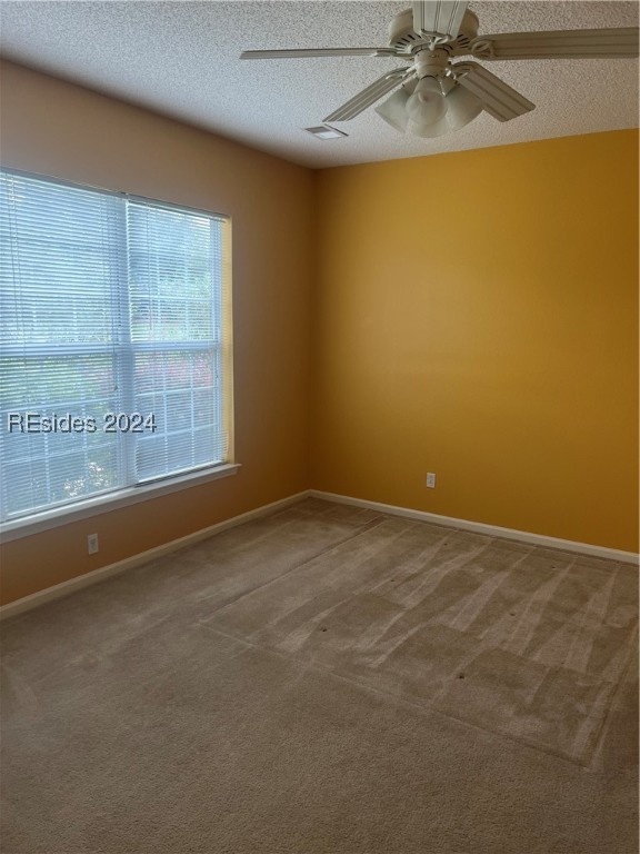 41 Bishop Street Property Photo 17