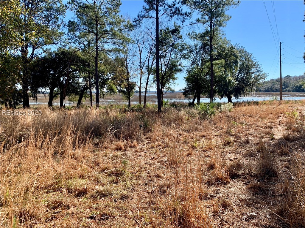2497 Knowles Island Road Property Photo 5