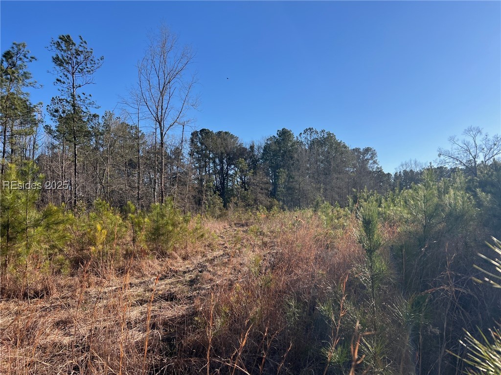 901 Jenkins Avenue Property Photo 10