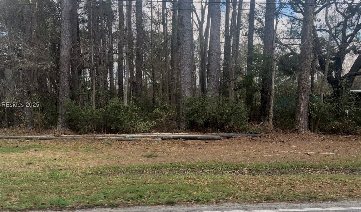 340 Sisters Ferry Road Property Photo 2