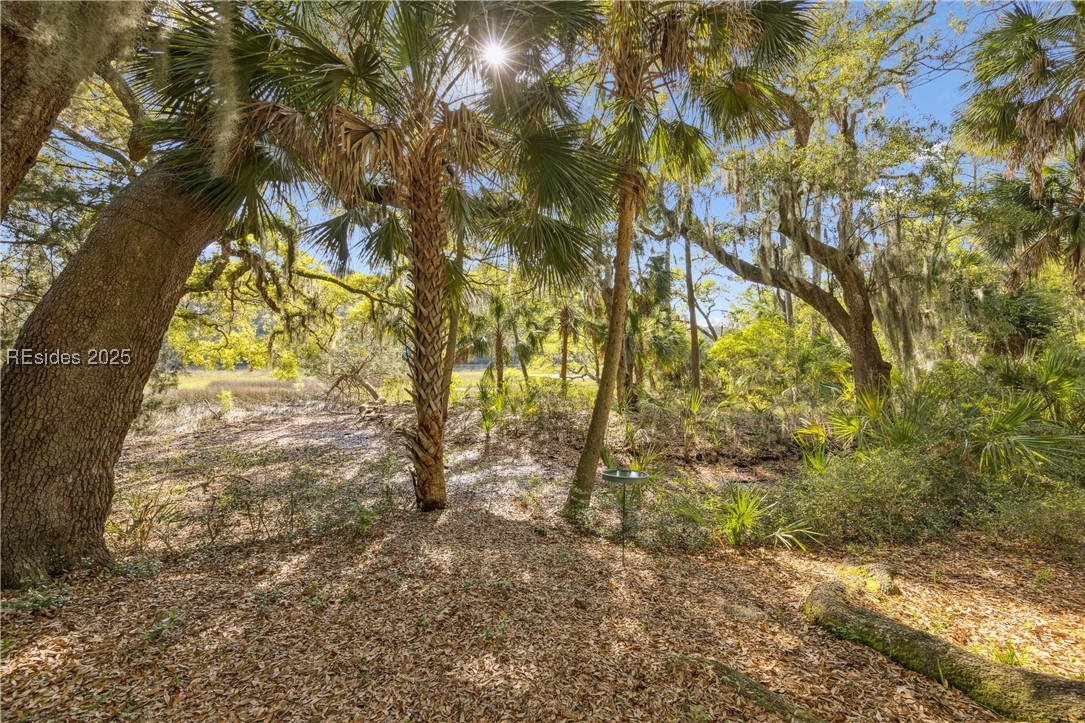 8 Chechessee Circle Property Photo 41