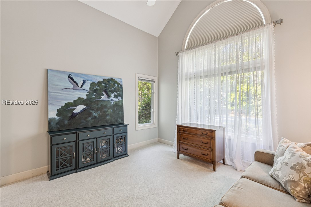 8 Chechessee Circle Property Photo 55