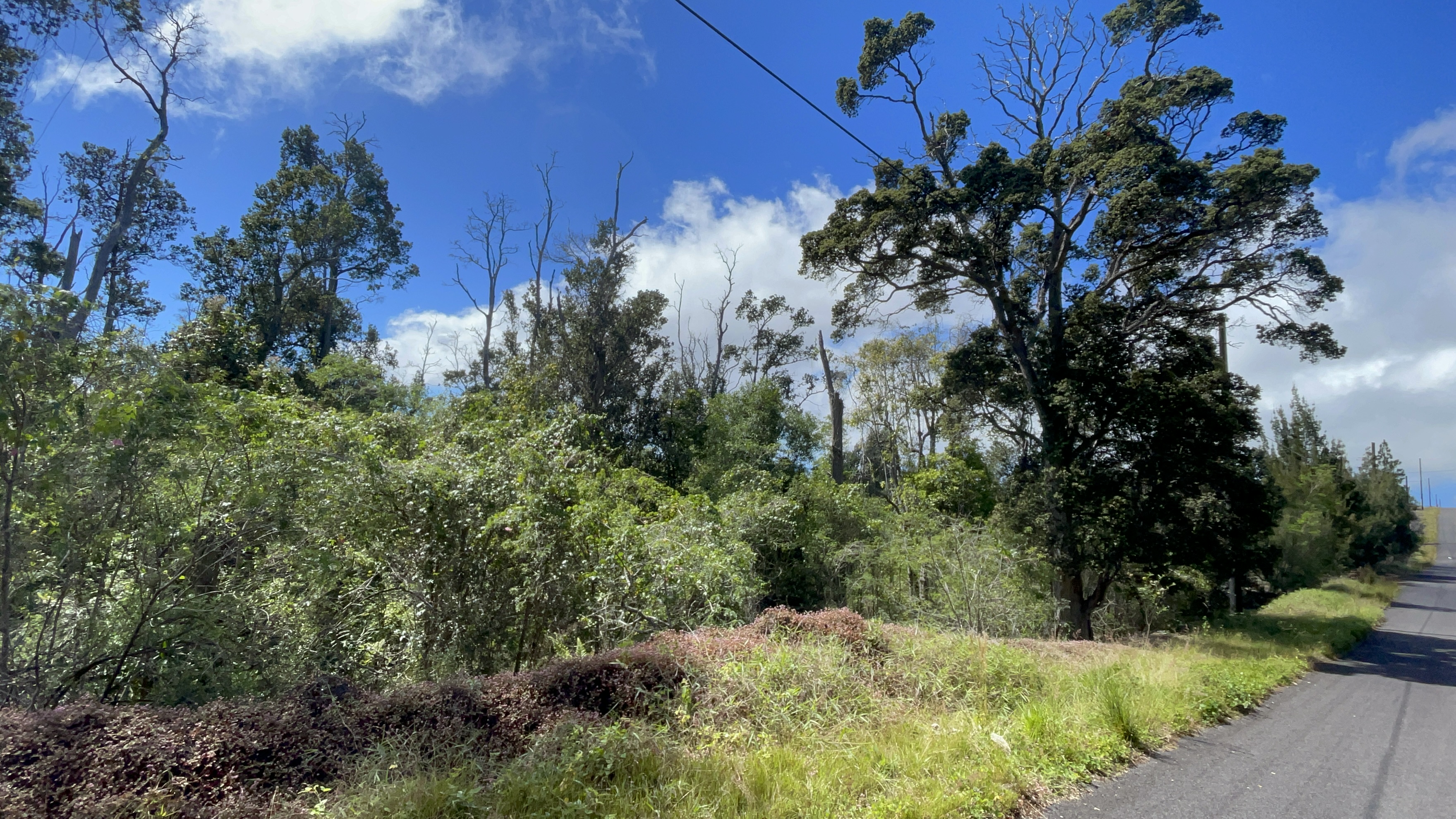 Mahimahi Dr Property Photo 1