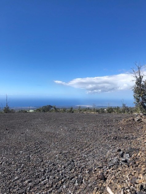 Aloha Blvd Property Photo