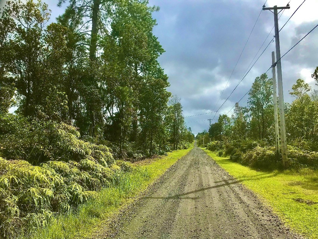Omeka Rd Property Photo 1
