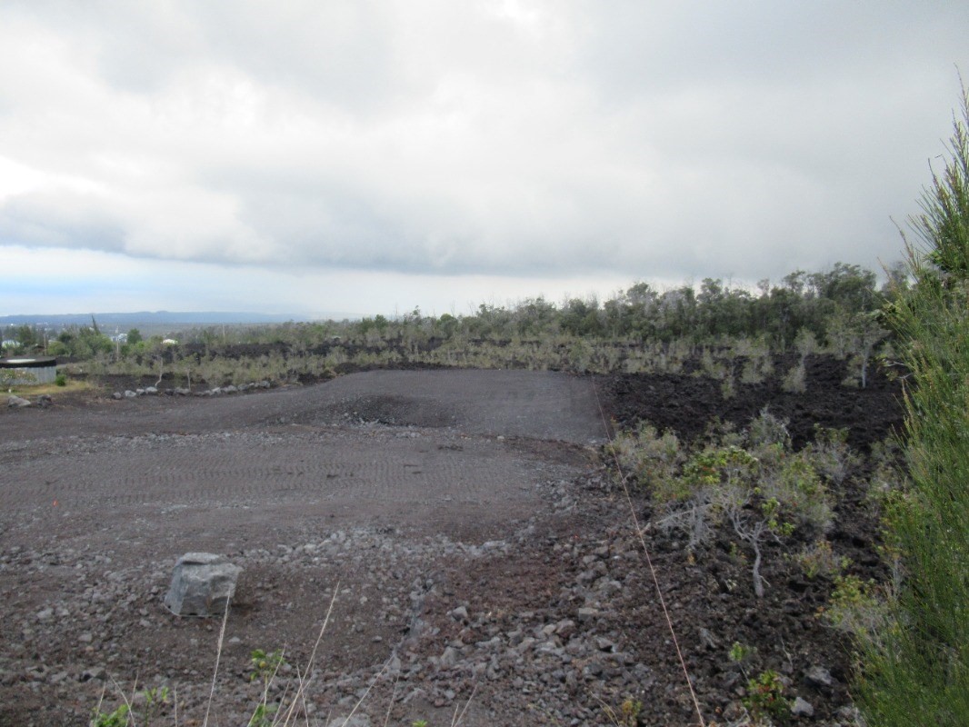 Paradise Pkwy Property Photo