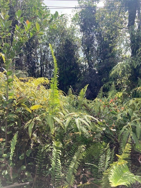 Road 7 (opeapea) Property Photo 1