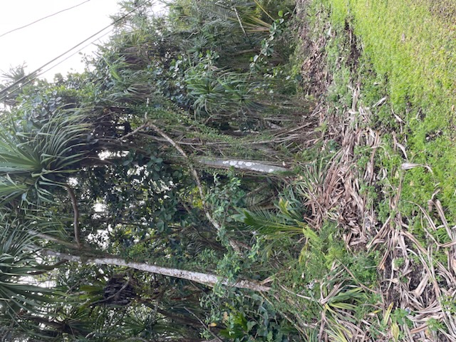 Ono St Property Photo 3