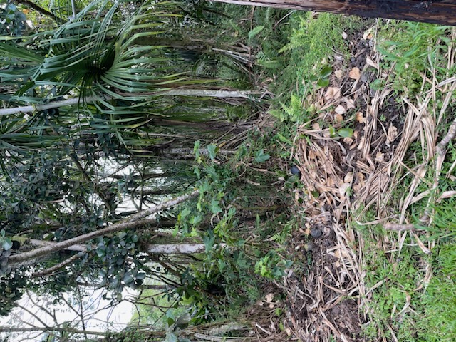Ono St Property Photo 6