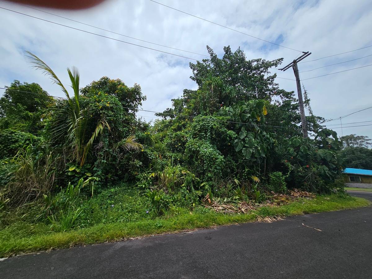 Palani St Property Photo 2