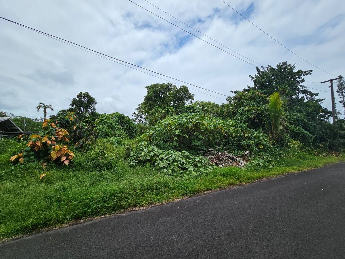 Palani St Property Photo 3