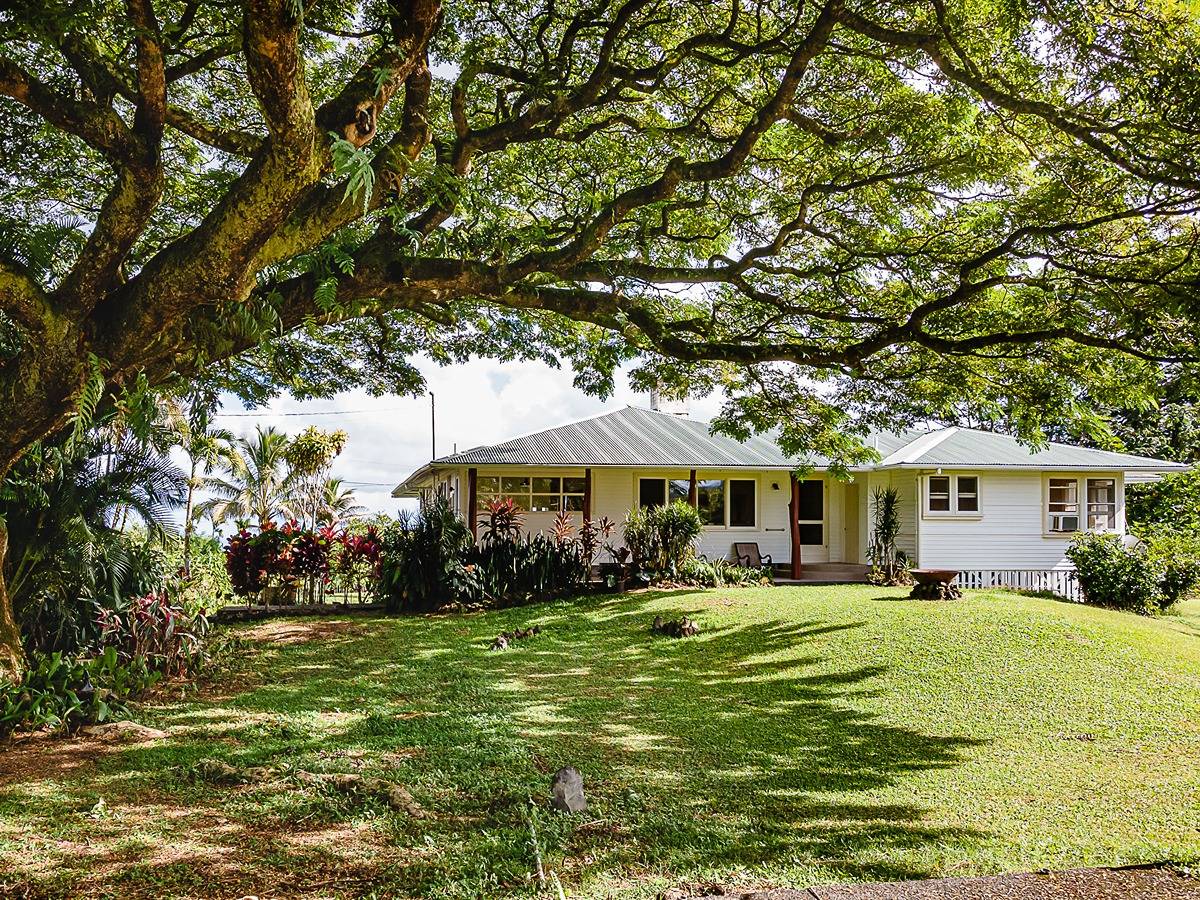 195 Waikahe Rd Property Photo 1