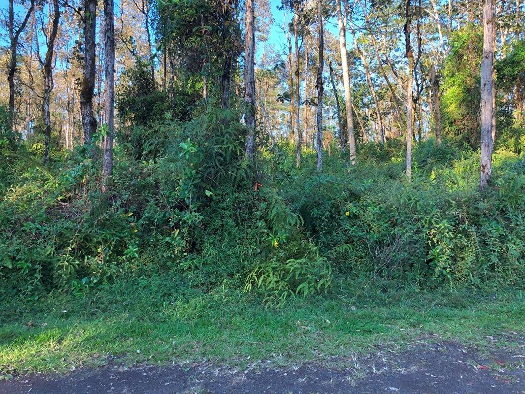 Shell Rd Property Photo 6