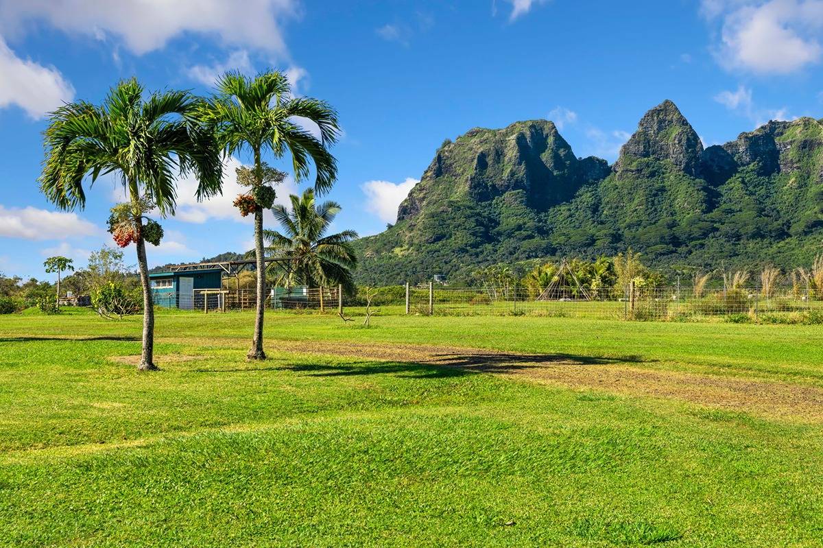 4-4940 Kuhio Hwy A Property Photo 23