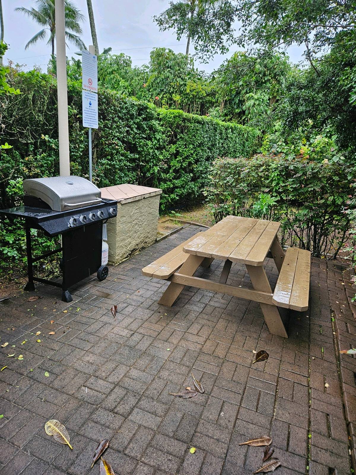 525 Aleka Lp K3 Property Photo 4