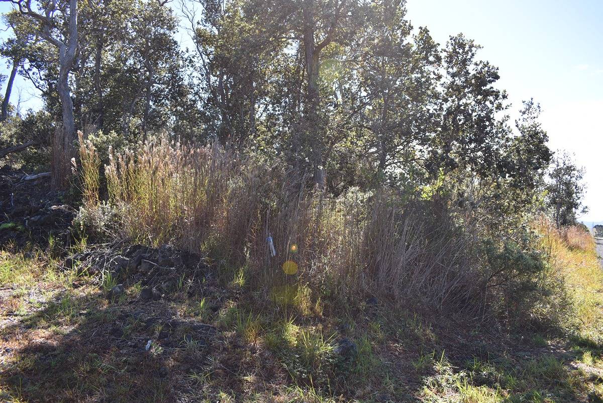 92-9082 Tiki Ln Property Photo 12