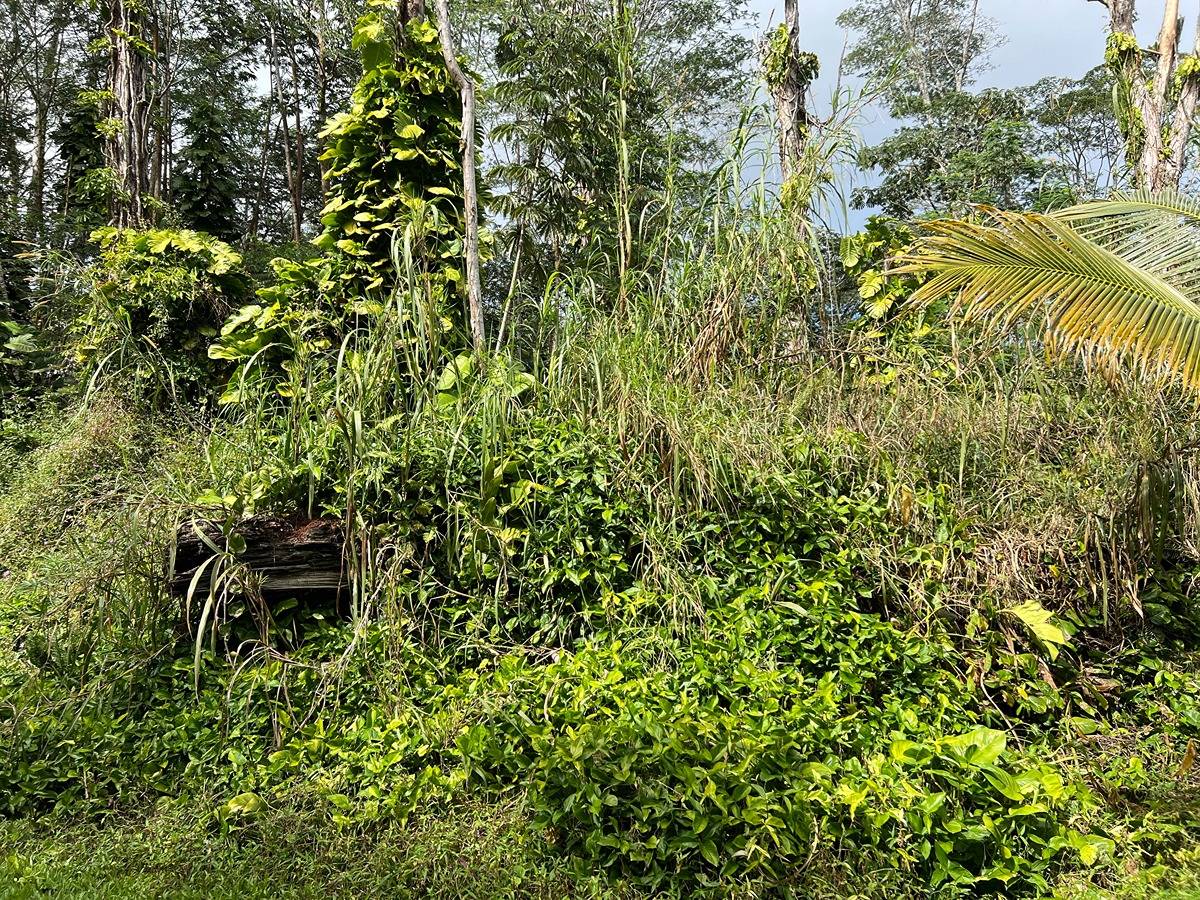 Ginger Rd Property Photo 1