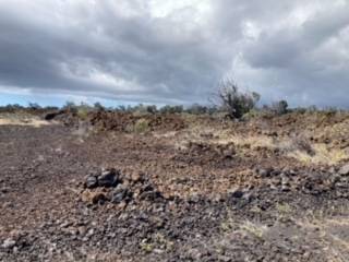 Kohala Blvd Property Photo 2