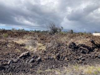 Kohala Blvd Property Photo 3
