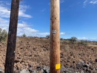 Kohala Blvd Property Photo 8