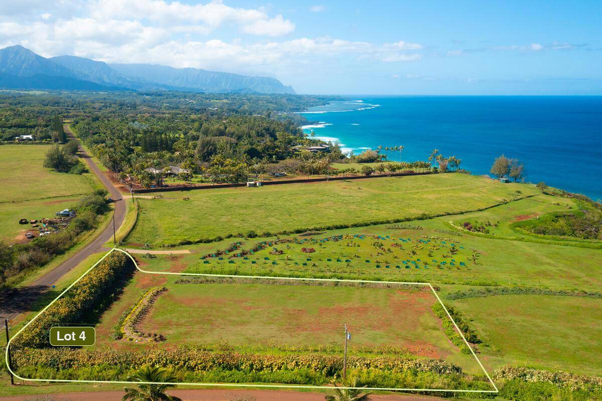 Kauapea Rd Property Photo 1