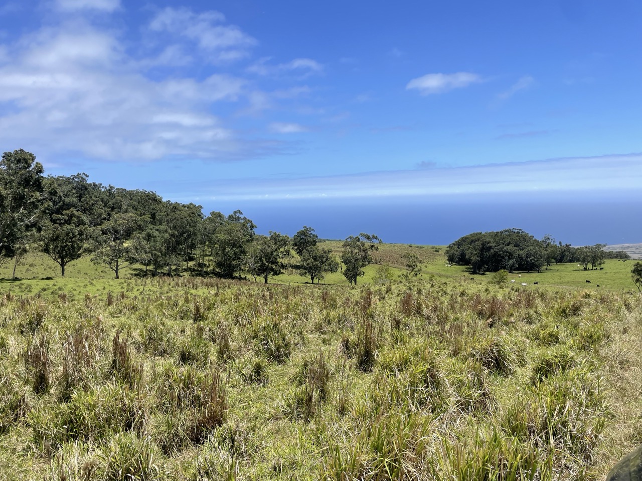 Kaalualu Rd Property Photo 2