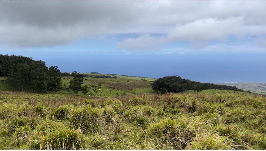Kaalualu Rd Property Photo 3
