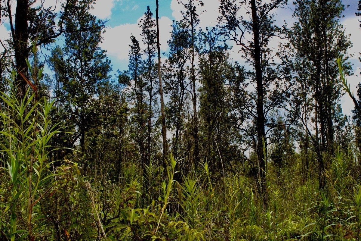 Road 6 (ooaa) Property Photo 1