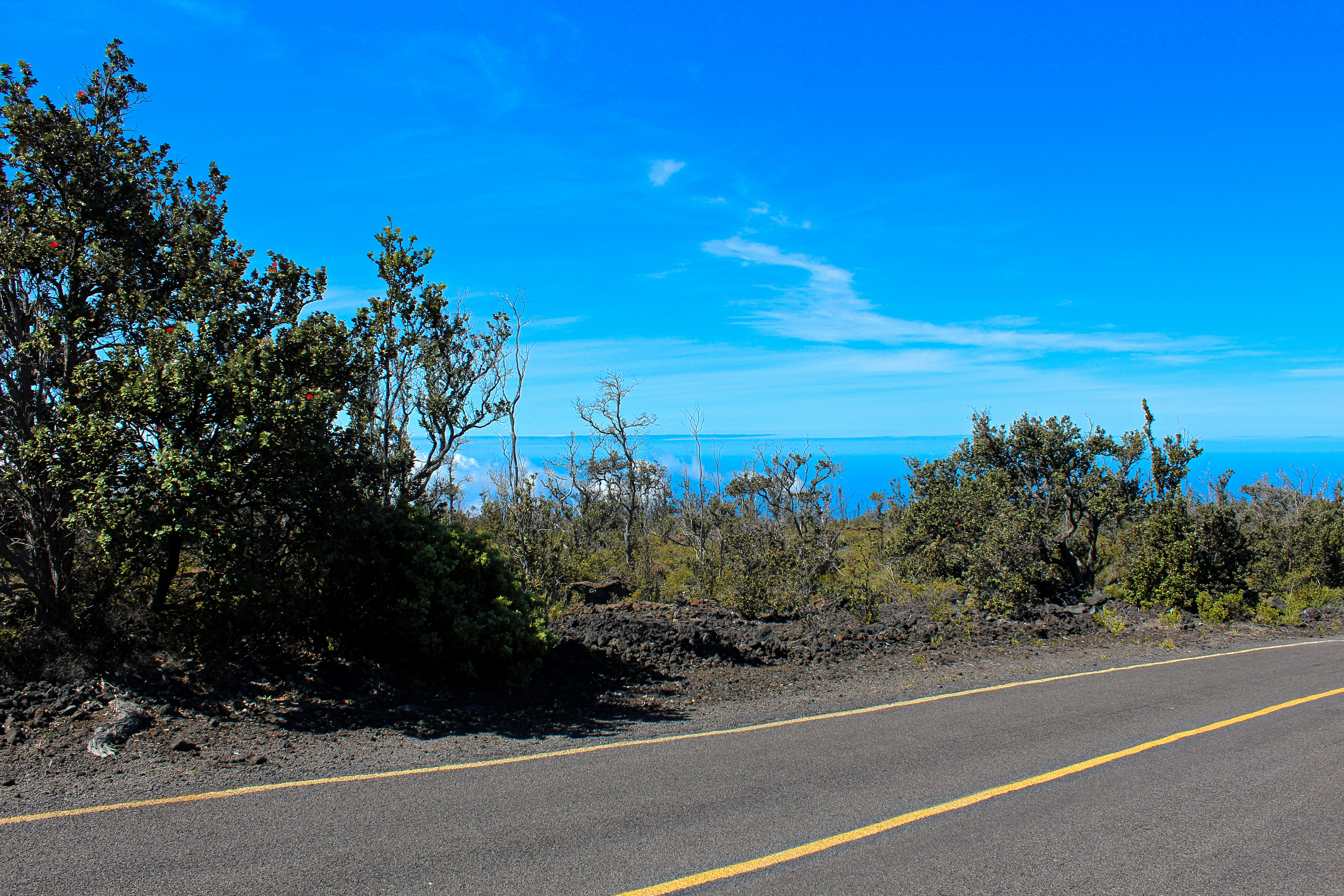 Ohia Dr Property Photo