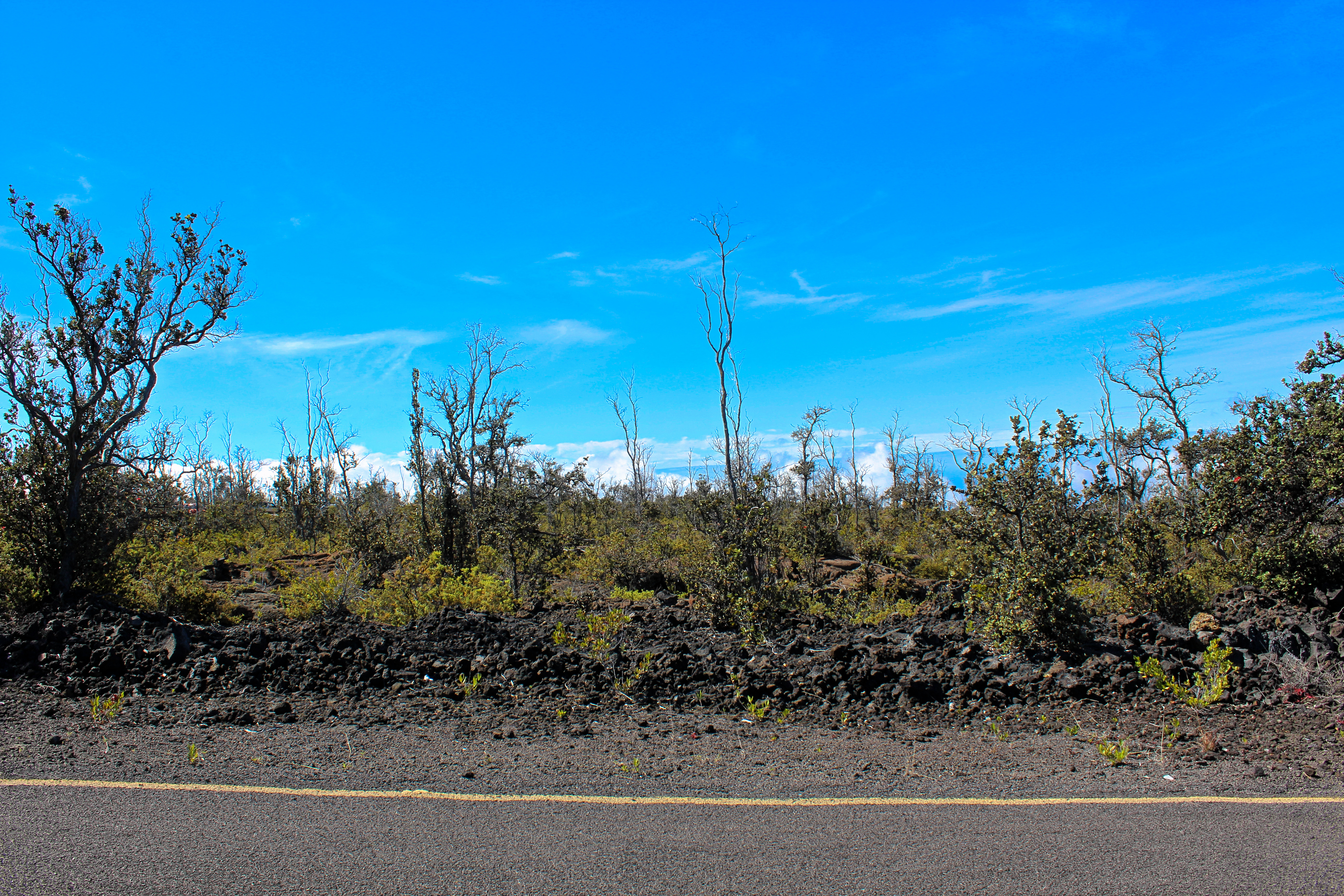 Ohia Dr Property Photo 2