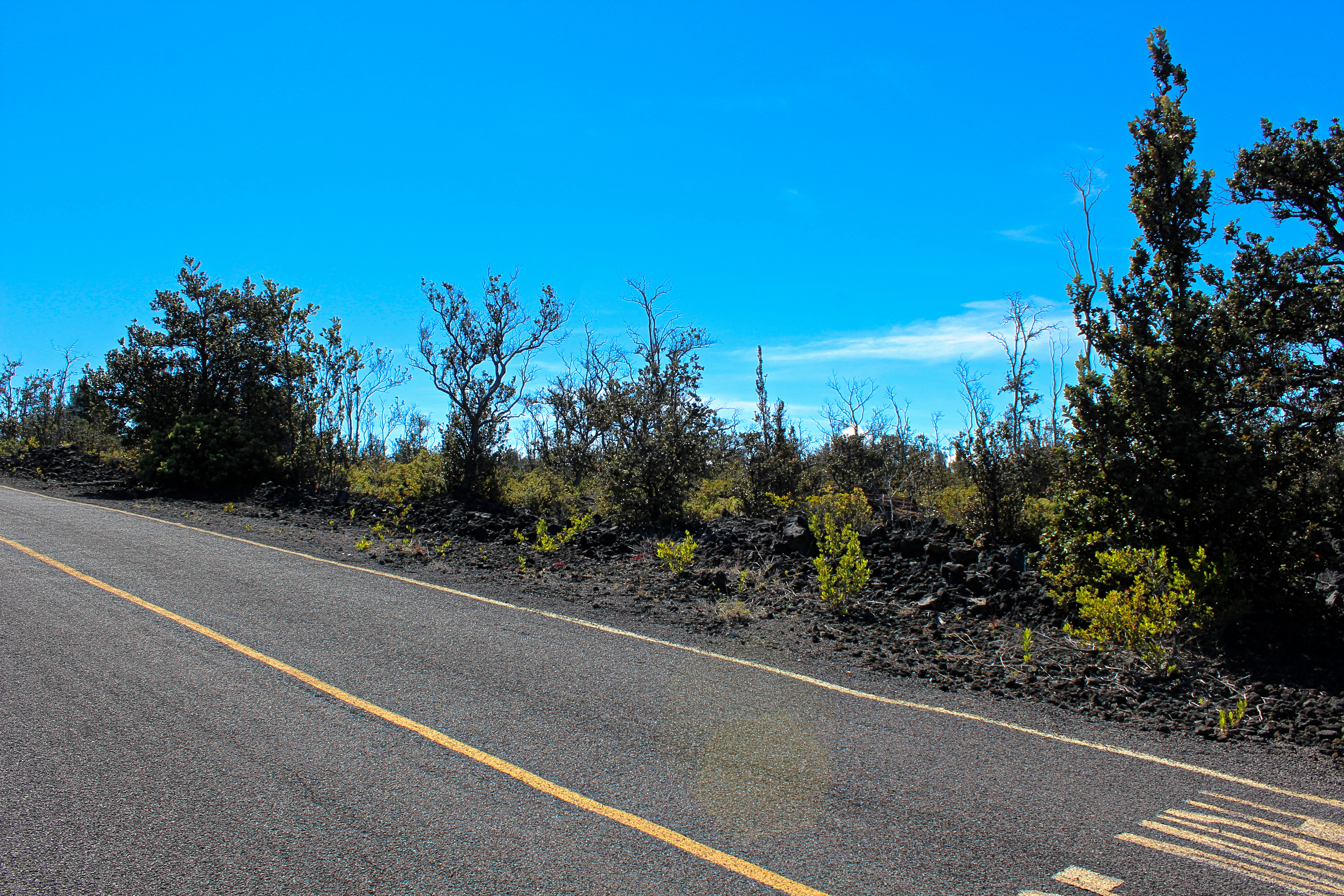 Ohia Dr Property Photo 3