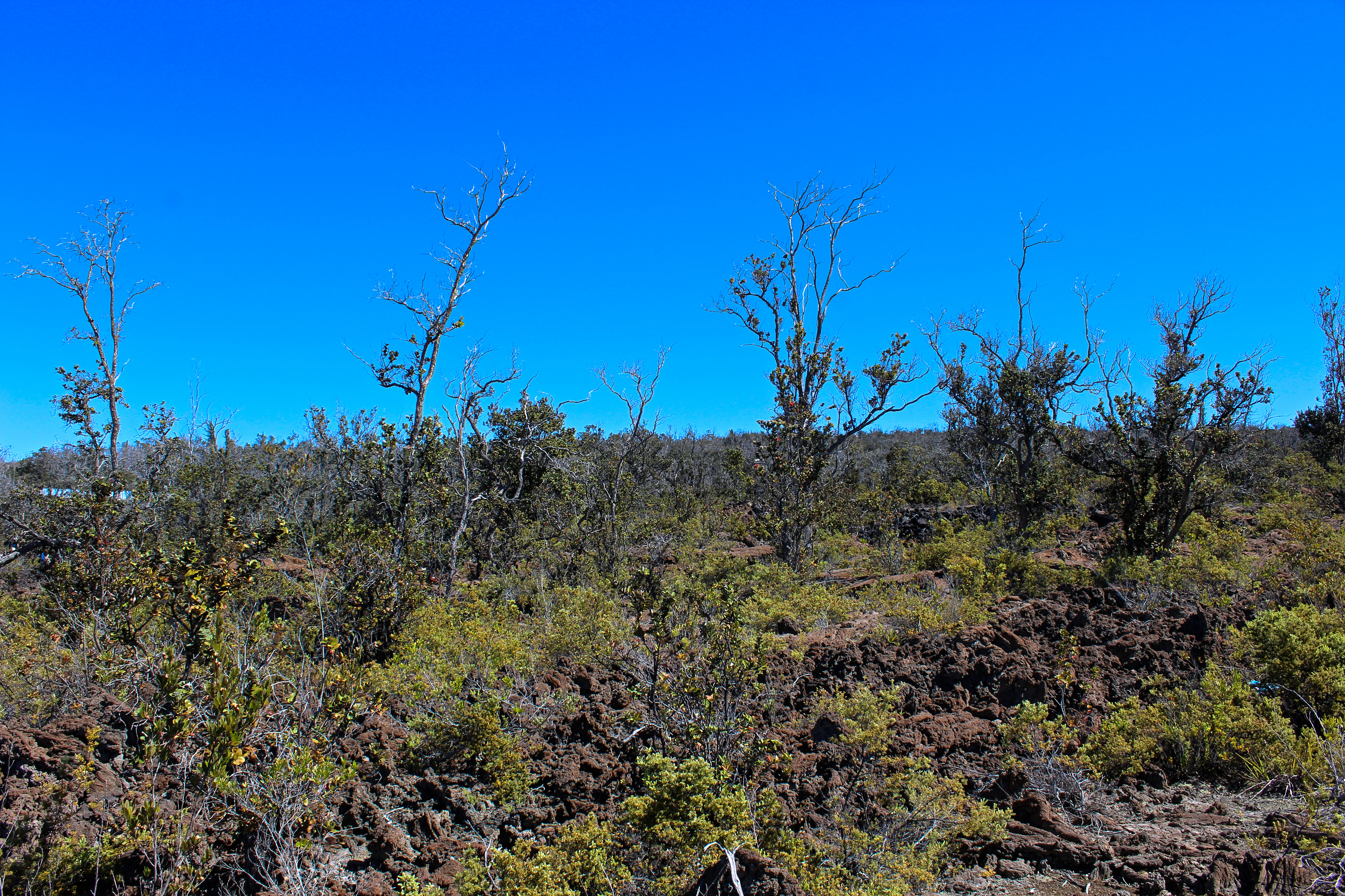 Ohia Dr Property Photo 8