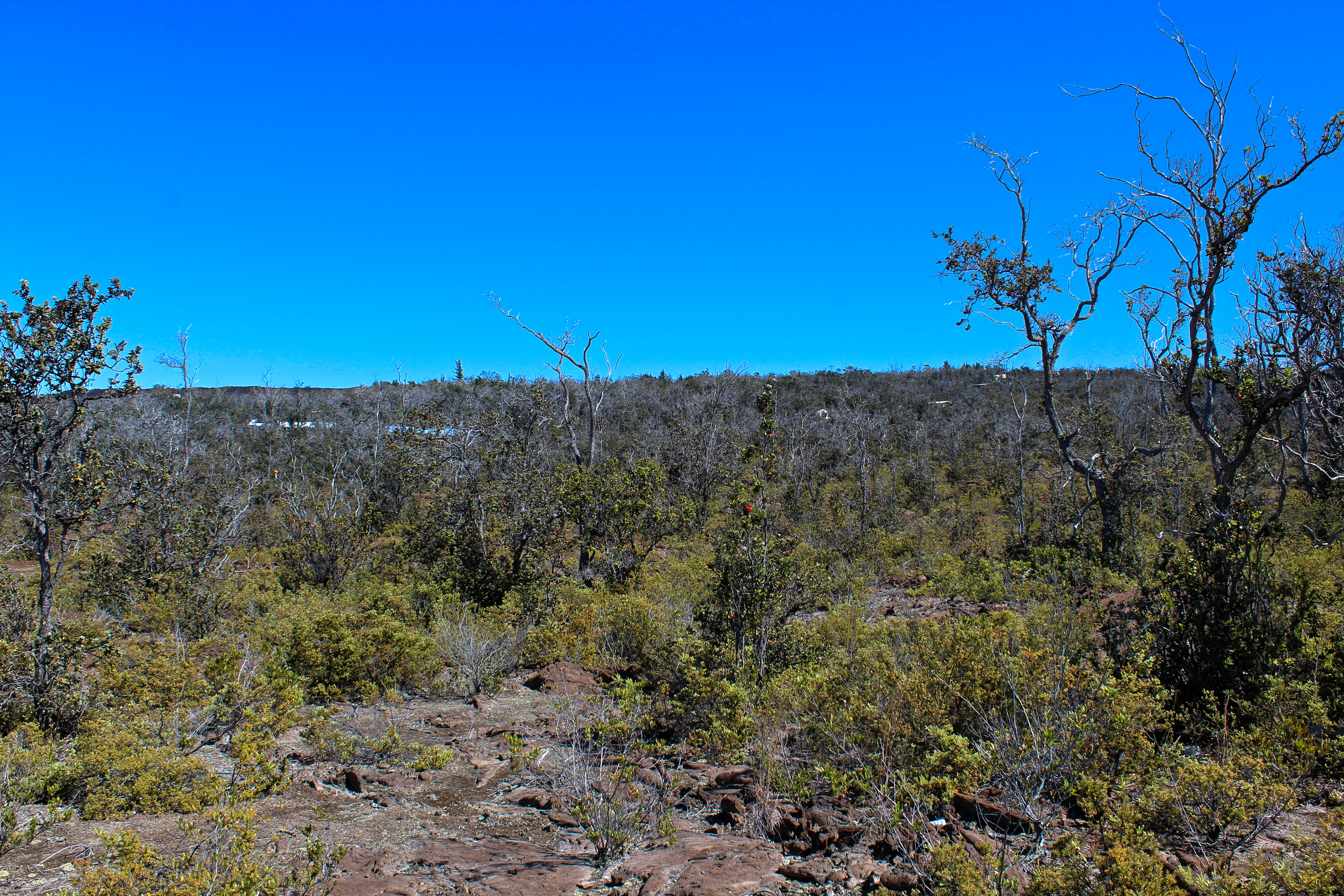 Ohia Dr Property Photo 9