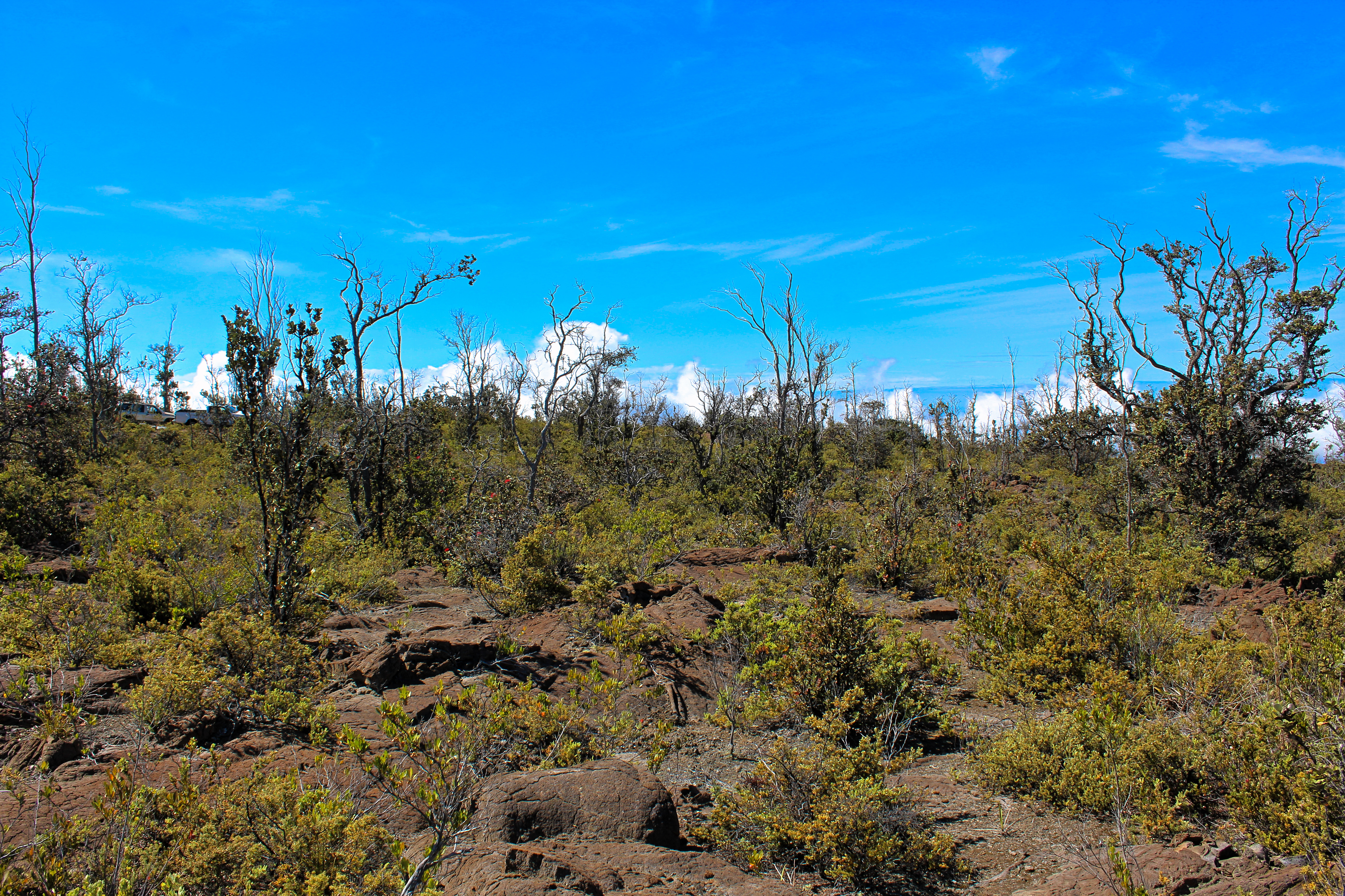 Ohia Dr Property Photo 10