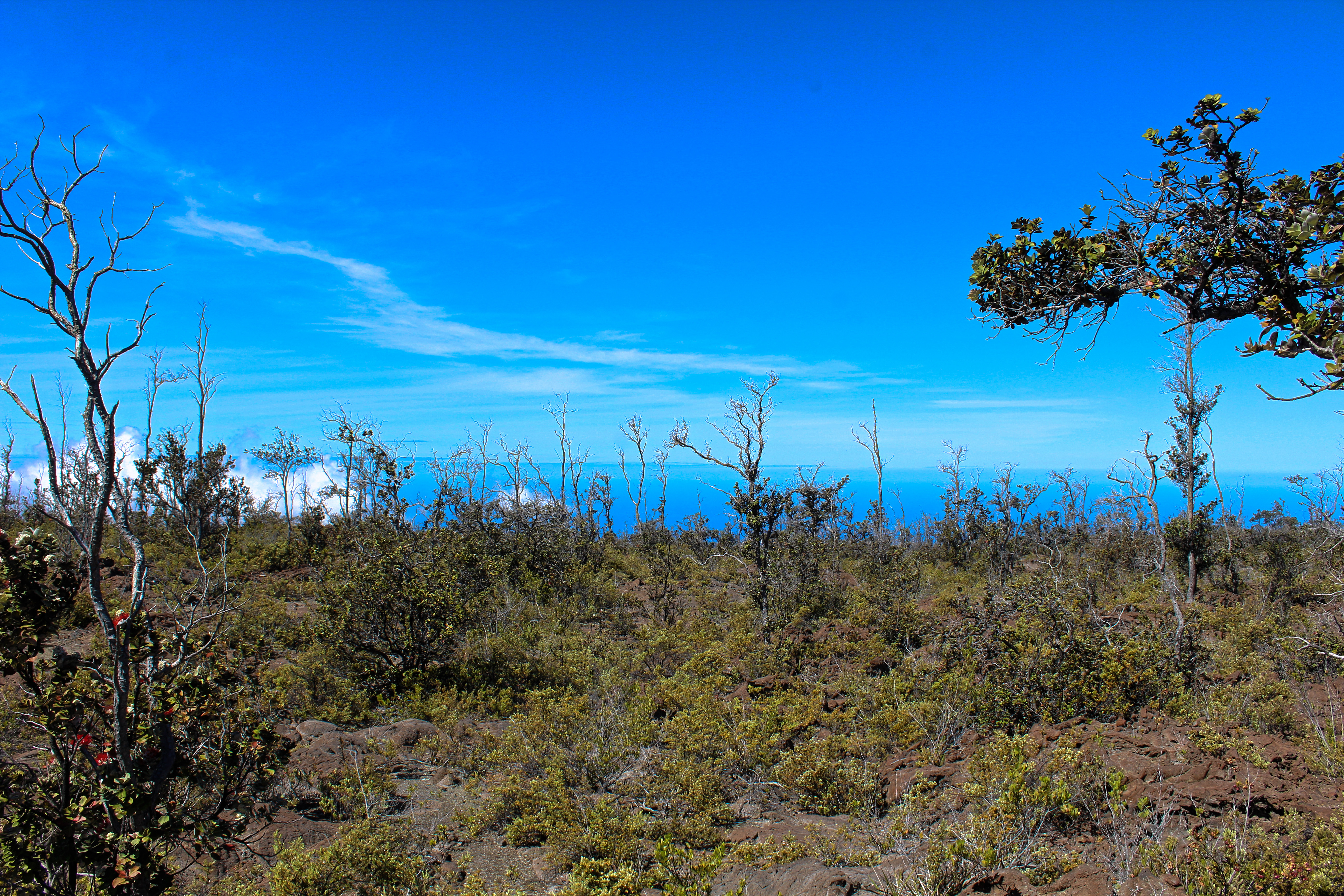 Ohia Dr Property Photo 11