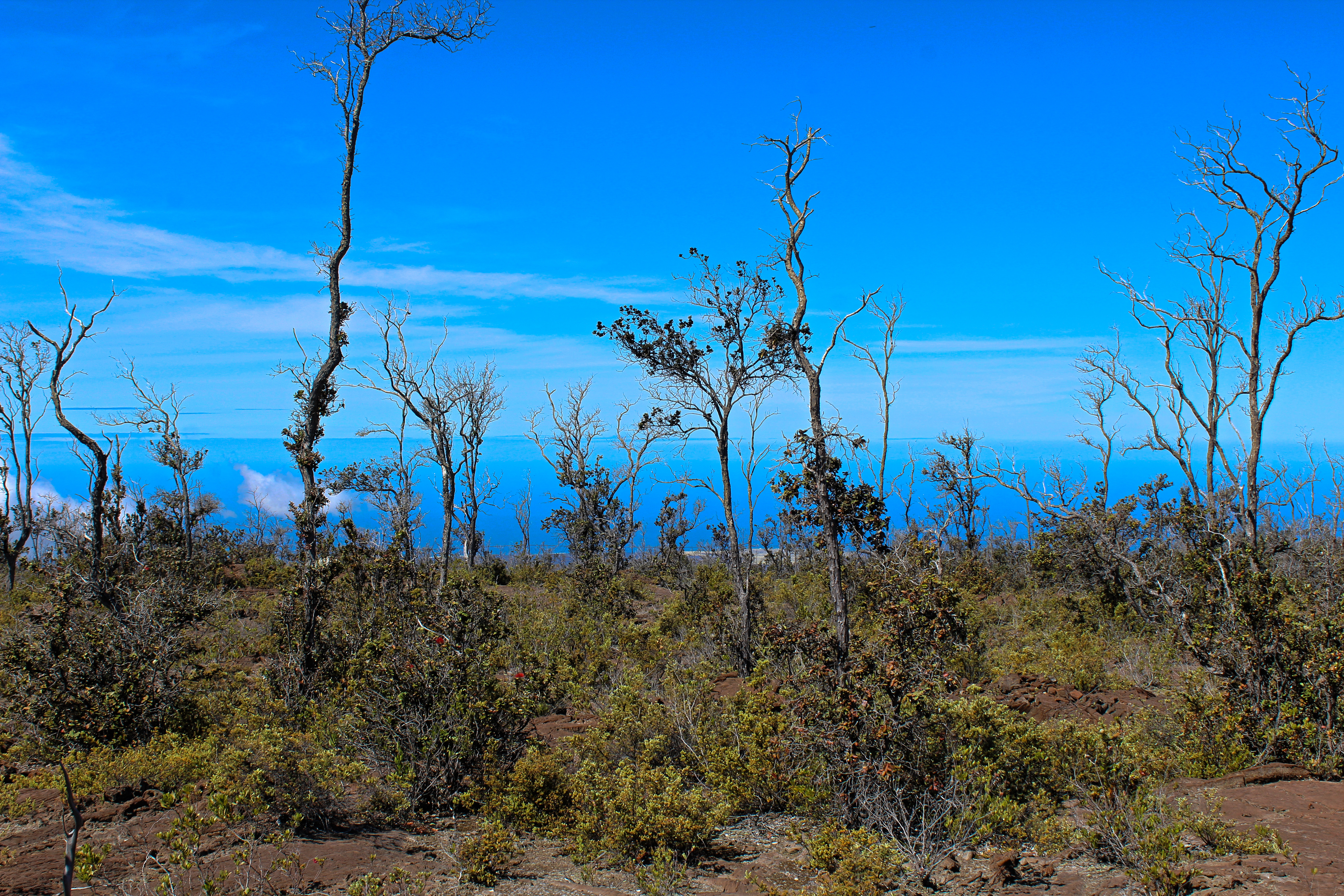 Ohia Dr Property Photo 12