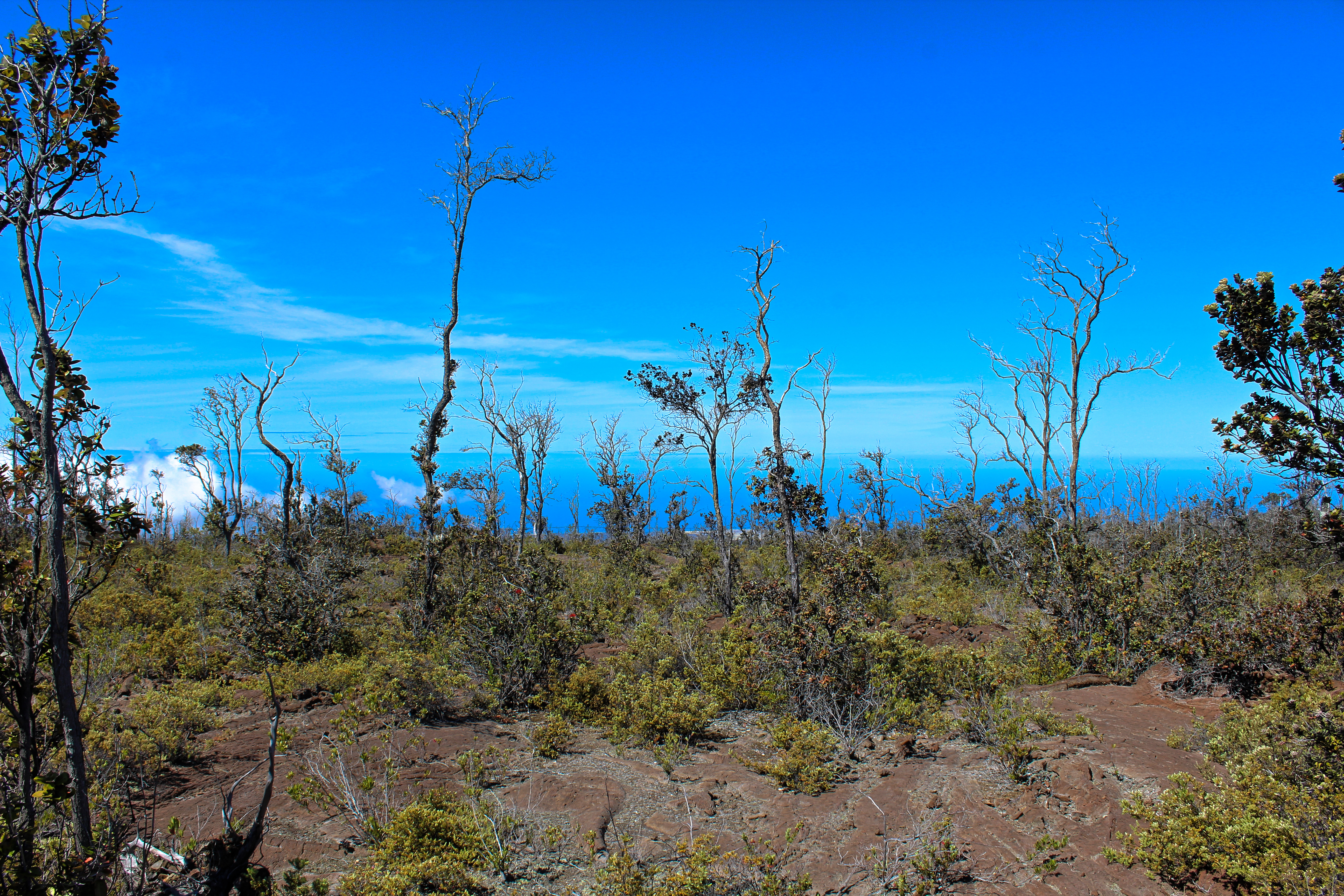 Ohia Dr Property Photo 13
