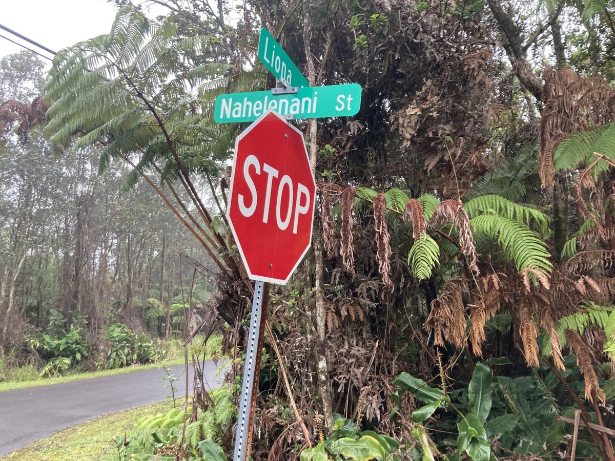 Nahelenani St Property Photo 4