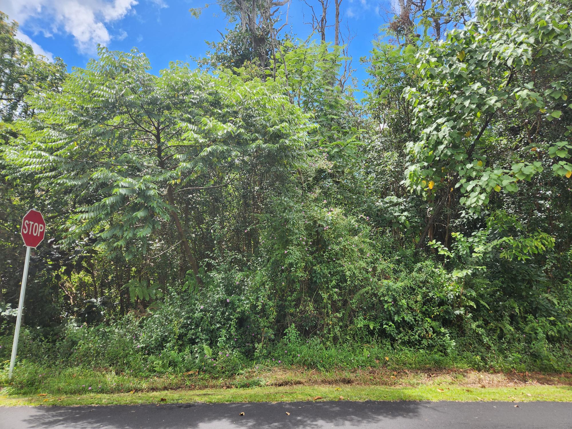 S MOKU ST Property Photo 1