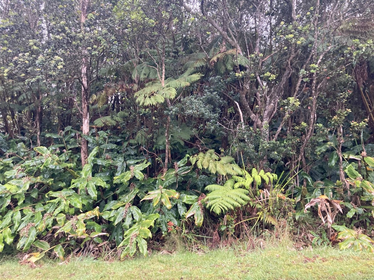Nahelenani St Property Photo 2