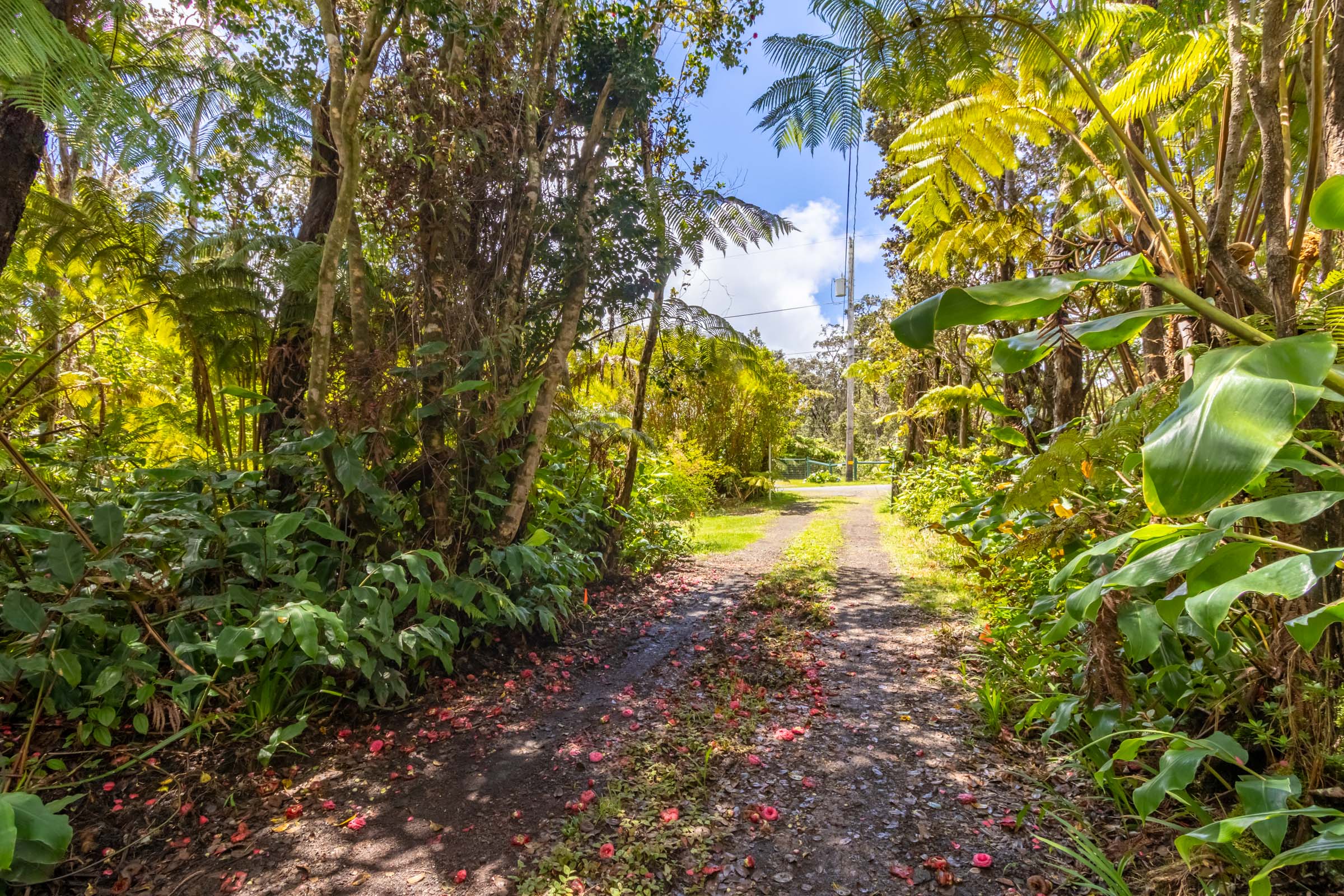 19-3944 Keonelehua Ave Property Photo 23