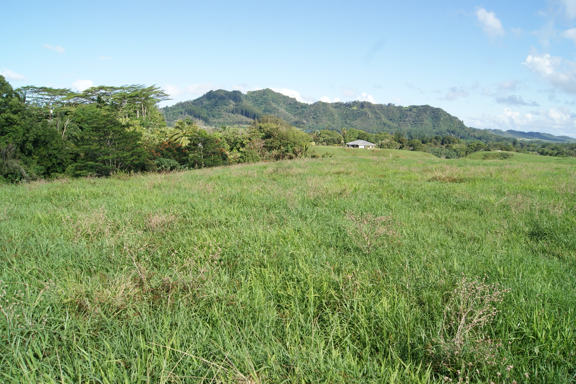 6555 Olohena Rd Property Photo 10