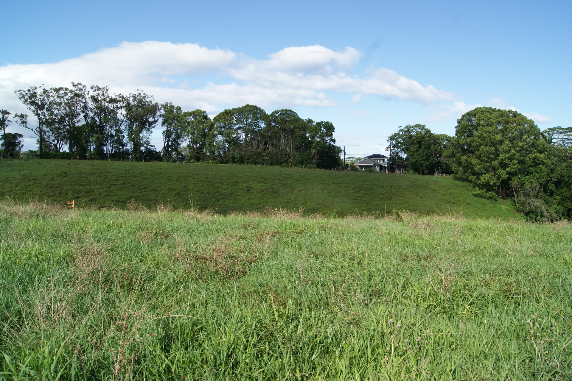 6555 Olohena Rd Property Photo 11